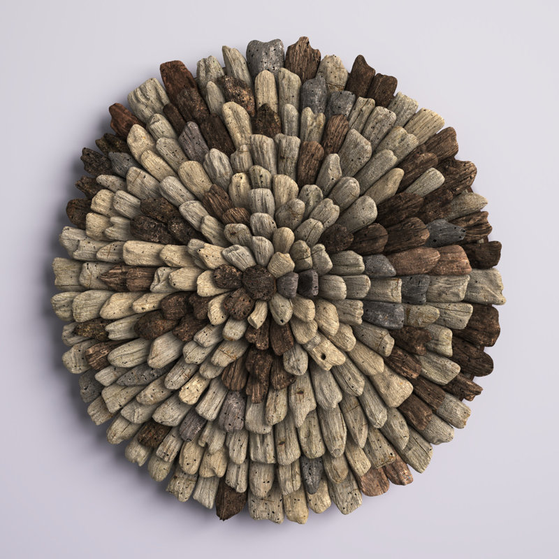 Mistana™ Kassandra Driftwood Wall Décor & Reviews Wayfair